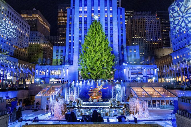 Christmas Light Private Carriage Ride New York City - Key Highlights You Will Actually Care About