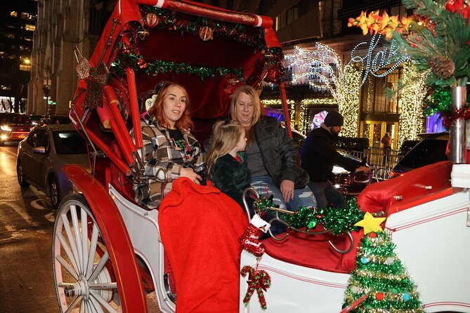 Christmas Light Private Carriage Ride New York City - Plaza Hotel to Fifth Avenue, the Holiday Shortcut Through Midtown