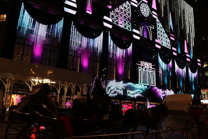 Christmas Light Private Carriage Ride New York City - Gar Pond, a Winter Mood Between Midtown Icons