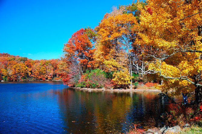 Circle Line: 8-hr Bear Mountain Oktoberfest Cruise - Key highlights you should care about
