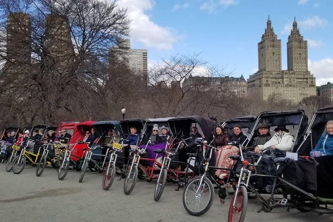 Deluxe Central Park Pedicab Tour - Balto statue: a different kind of park moment