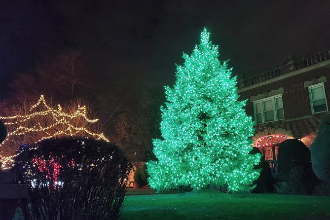 Dyker Heights Christmas Lights Guided Tour - Practical tips so you do not get stuck in holiday chaos