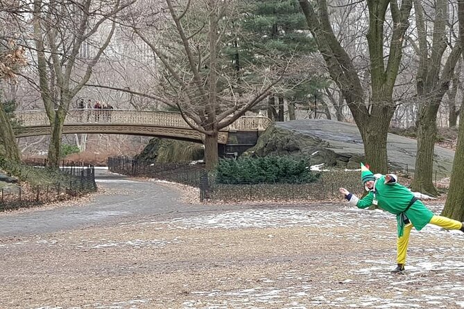 Elf and Home Alone 2 Movie Locations Tour in Central Park - How the Tour Works: Private Pedicabs, Themed Guides, and a Tight 1-Hour Route