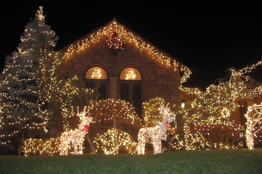From Manhattan: 4-Hour Brooklyn Christmas Magic Tour - Key highlights worth planning for