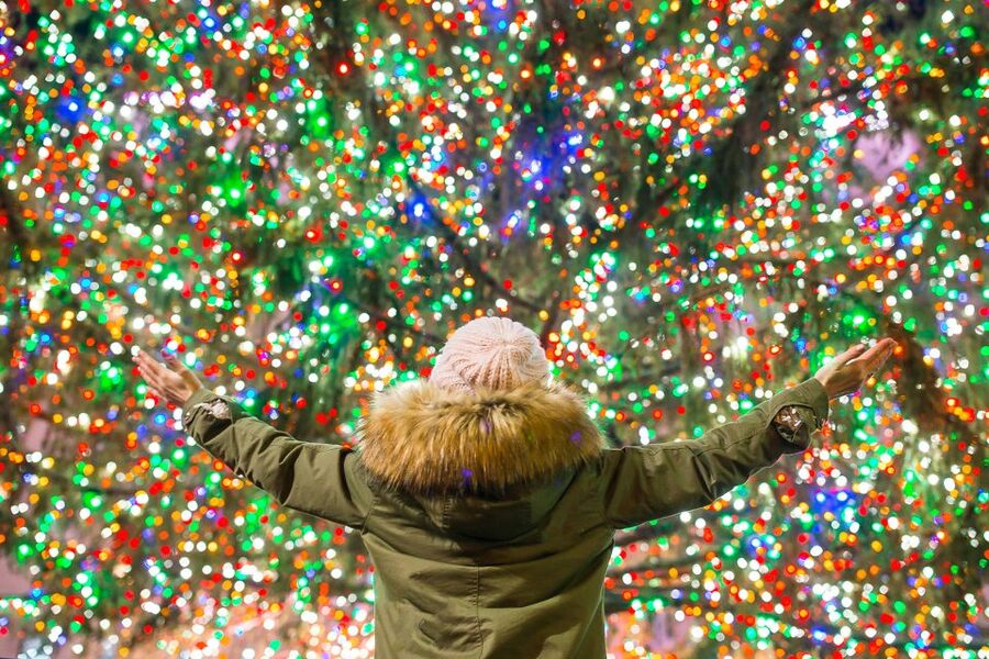 From Manhattan: 4-Hour Christmas Lights Luxury Bus Tour - Who should book this and who should skip it