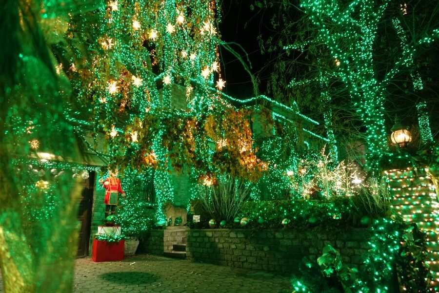 From Manhattan: 4-Hour Christmas Lights Luxury Bus Tour - Brooklyn Bridge Park: the skyline stop you can actually enjoy
