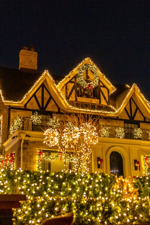 From Manhattan: 4-Hour Dyker Heights Holiday Lights Bus Tour - Brooklyn Bridge Park: the skyline and bridge photo moment