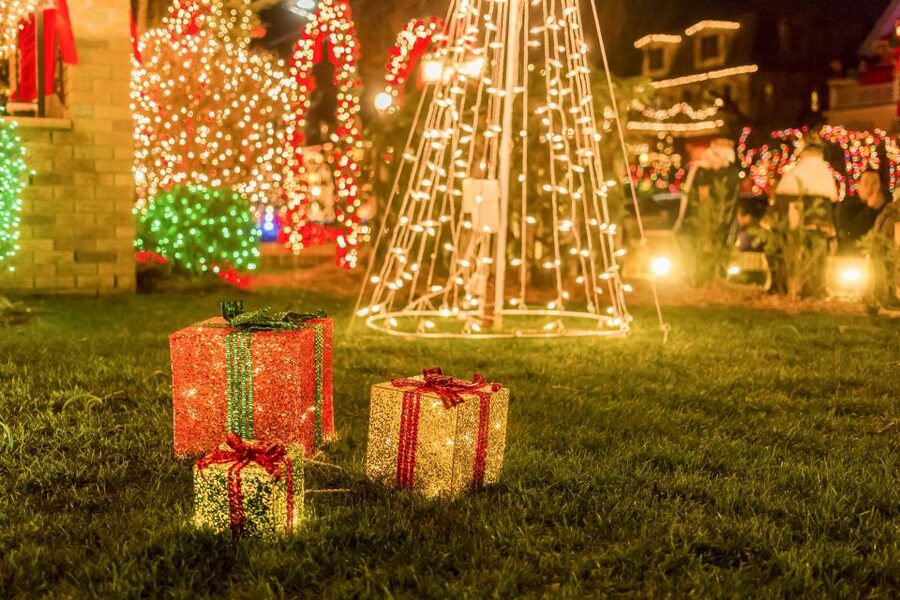 From Manhattan: Dyker Heights Lights & Skyline Tour - Key Points That Make This Tour Worth Your Time