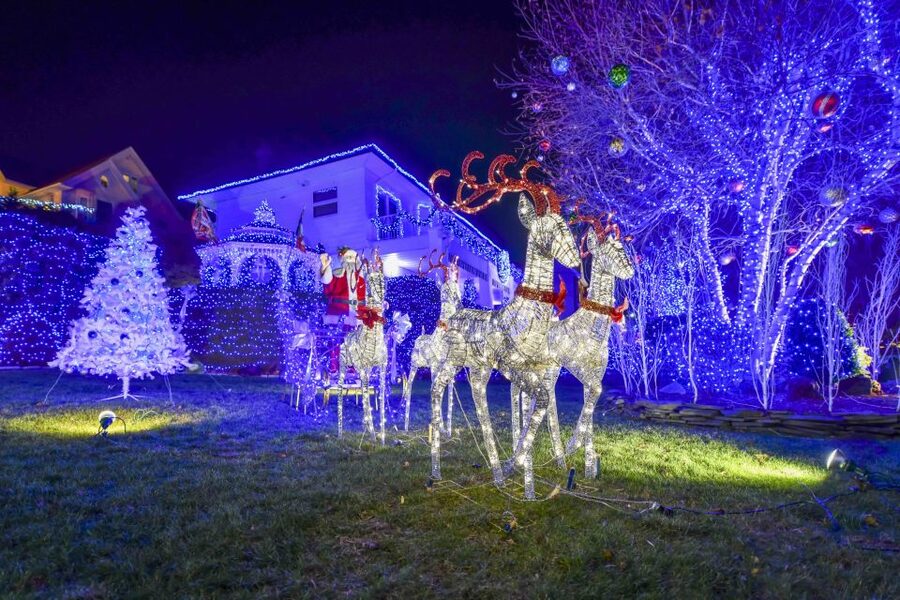 From Manhattan: Dyker Heights Lights & Skyline Tour - Who This Tour Suits Best (and Who Might Want Another Option)