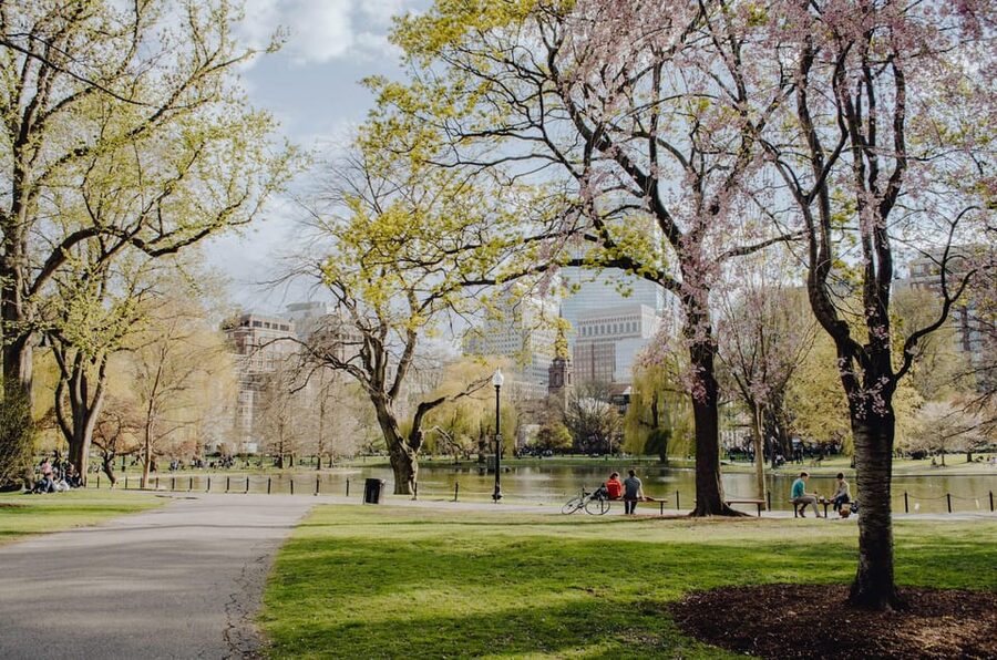 From New York: Niagara Falls and Washington DC 3-Day Trip - Terrapin Point, Cave of the Winds, and Goat Island: how to maximize the Niagara part