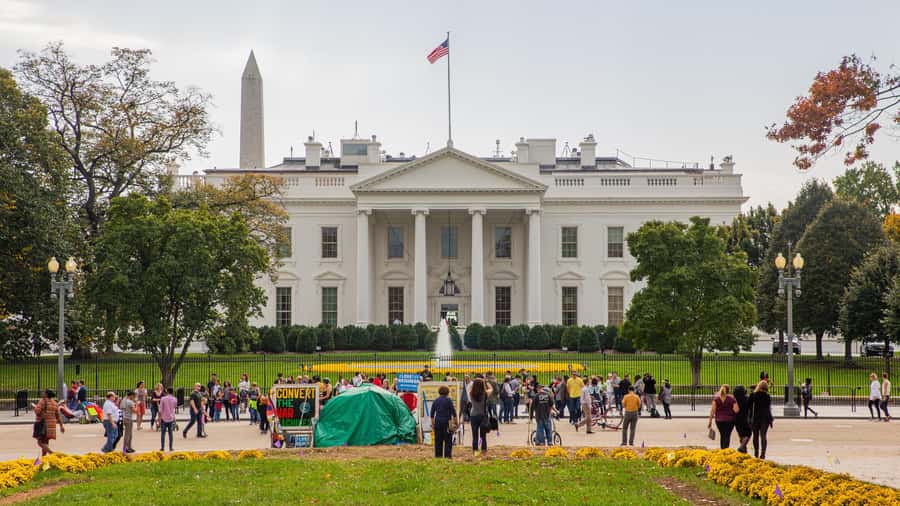 From New York: Washington Excursion in 1 Day - A 14 to 15 Hour Day Trips From New York Reality Check