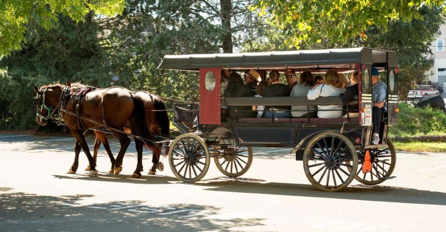 From NYC: Day Trip to Philadelphia and Amish Country - Philadelphia and Amish Country in one long day