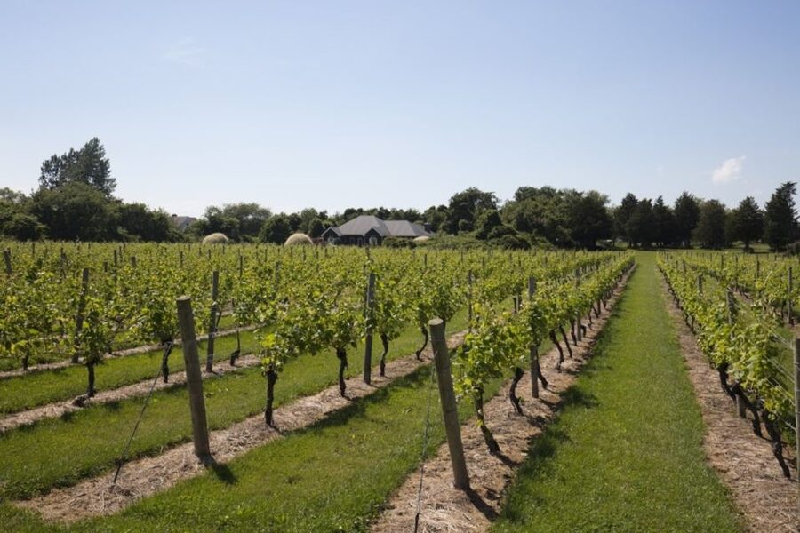 From NYC: Hamptons, Sag Harbor, and Outlet Shopping Day Trip - Why This Hamptons Day Trip Works When You Have One Long Day From NYC