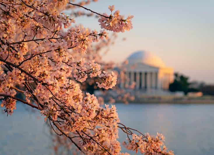 From NYC: Niagara Falls, Washington DC and Boston 4-Day Trip - Quick highlights