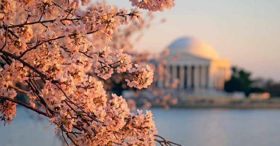 From NYC: Niagara Falls, Washington DC and Boston 4-Day Trip - Capitol and National Archives options: what changes if you cannot go inside