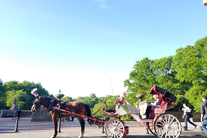 Full loop Private Horse Carriage Ride in Central Park 45 Minutes - Key highlights before you book