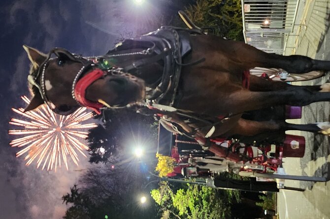 Full loop Private Horse Carriage Ride in Central Park 45 Minutes - Meeting point at Central Park South, and how the loop works