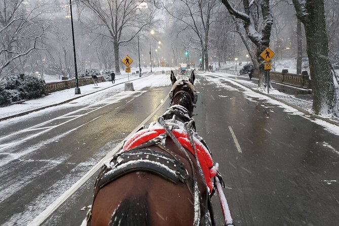 Full loop Private Horse Carriage Ride in Central Park 45 Minutes - Drivers matter: Tyson and Fantasy make the ride feel personal