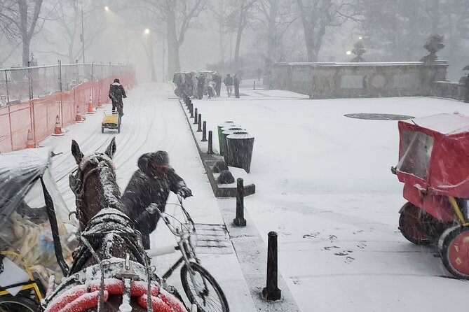 Full loop Private Horse Carriage Ride in Central Park 45 Minutes - When to pick your time slot: afternoons, evenings, and weather rules