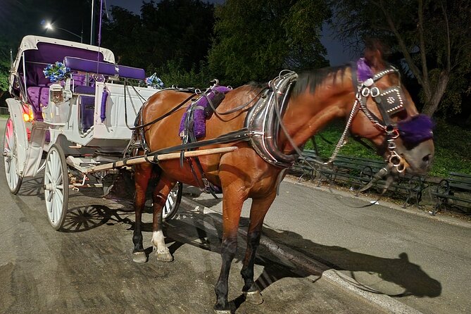 Full loop Private Horse Carriage Ride in Central Park 45 Minutes - Who should book this private carriage loop