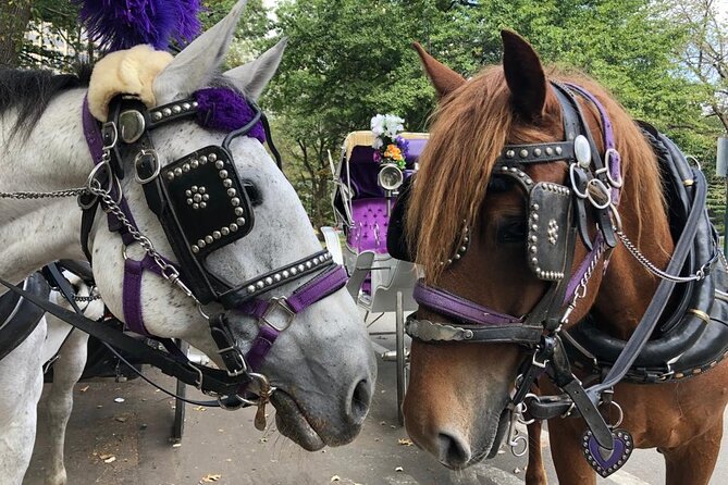 Full loop Private Horse Carriage Ride in Central Park 45 Minutes - Price and value: $195 per group, up to 4 people