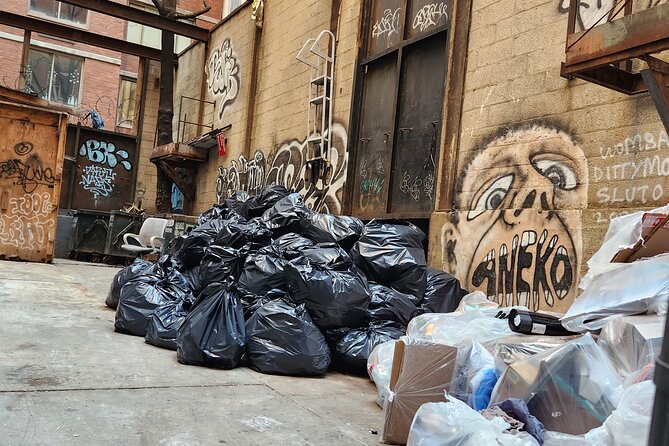 Garbage and Rats in New York City Walking Tour - South Street Seaport: Landfill Memories, Rat Fights, and a Fish-Market Ghost