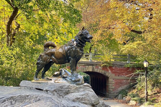 Guided Central Park Bike Tour 2 Hours - Conservatory Water, Conservatory Garden, and the Great Lawn: Where the Park Feels Vast