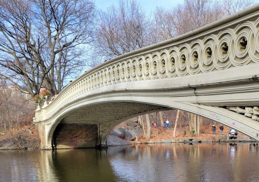 Guided Economy Pedicab Tour in Central Park - SummerStage in Central Park: the park as a live venue