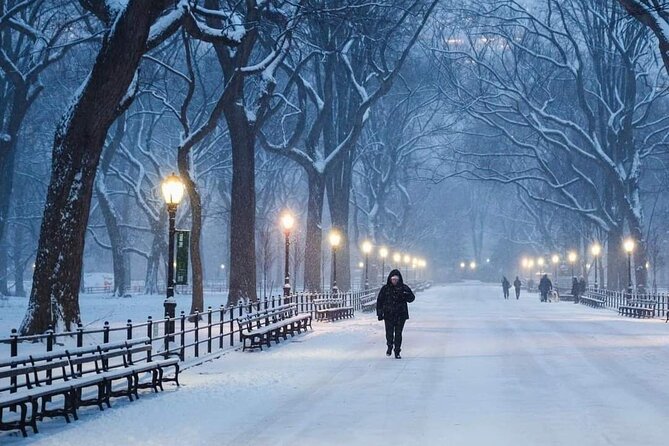 Guided Tour inside Central Park with Pedicab - Strawberry Fields and the Dakota area for one of the most memorable endings
