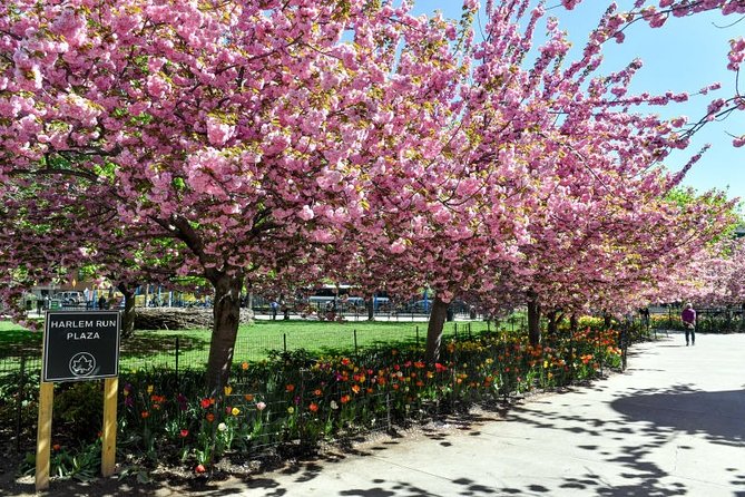Harlem Walking Tour: Mount Morris Park Historic District w/ Lunch - Marcus Garvey Memorial Park: an old park tied to big moments