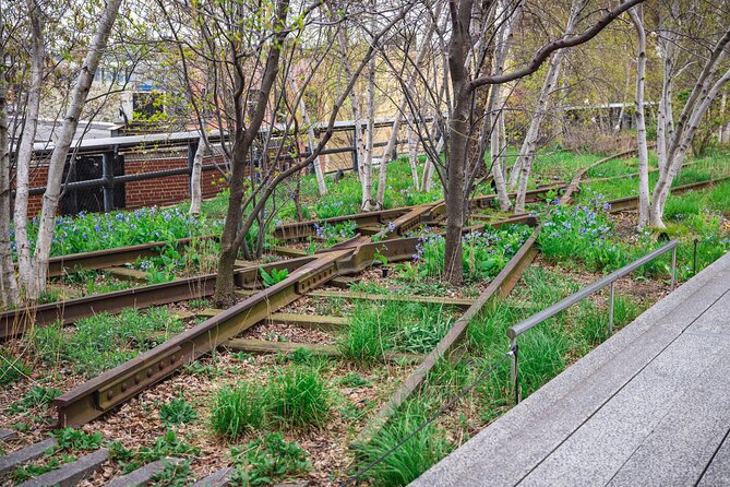 High Line and Chelsea Market 3 Hour Private Tour - Price and value: who this $320 private group tour makes sense for