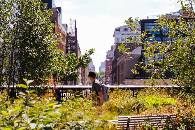 High Line and Chelsea Small Group Tour - Key things I’d circle before you go