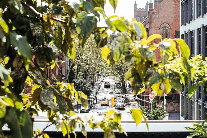 High Line and Chelsea Small Group Tour - Walking the High Line: Old Rail to Elevated Park
