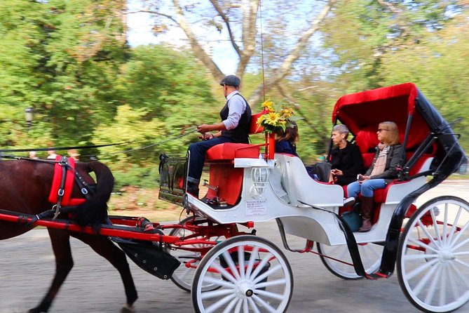 Horse Carriage Ride with Tavern on the Green Pick-Up & Drop-Off - Balto the lead sled dog and the medicine run story