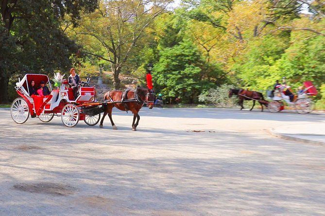 Horse Carriage Ride with Tavern on the Green Pick-Up & Drop-Off - Practical tips that make this smoother in real life