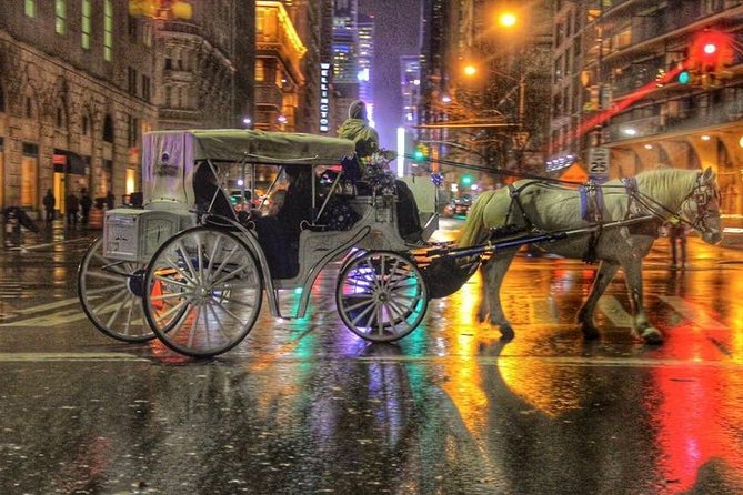 Horse Carriage Tour in New York City's Central Park Small Loop - Blankets in the cold, comfort in the details