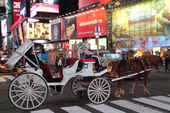 Horse Carriage Tour in New York City's Central Park Small Loop - Timing tips: when a quieter carriage ride is easier to find
