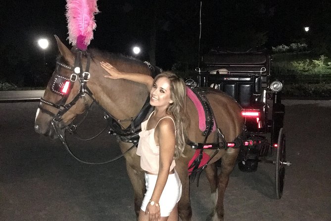 Horse Carriage Tour in New York City's Central Park Small Loop - Practical etiquette and what to expect when you arrive
