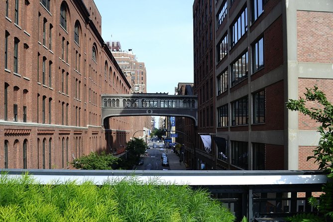 Hudson Yards the High Line and the New Vessel - Should you book this High Line and Vessel tour?