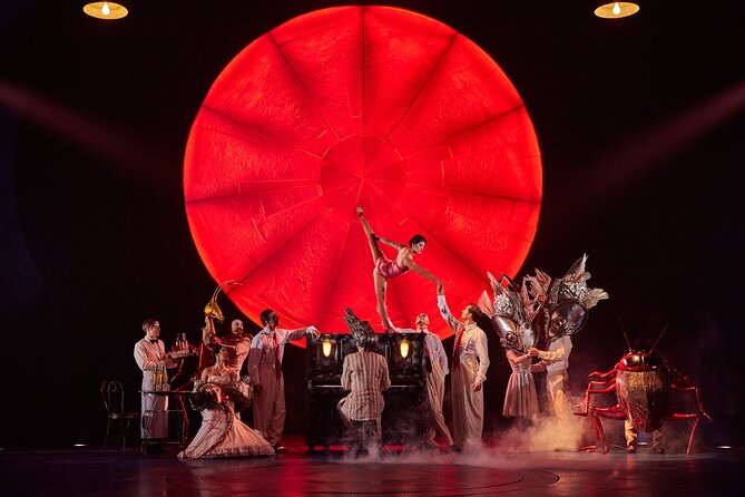 Luzia by Cirque du Soleil: Under the Big Top in New York City - Price and value, what your ticket includes
