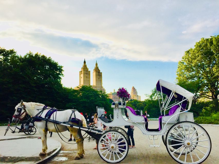 Manhattan: VIP Private Horse Carriage Ride in Central Park - Key highlights that matter before you book