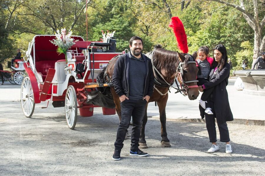 Manhattan: VIP Private Horse Carriage Ride in Central Park - Should you book the Manhattan VIP Private Horse Carriage Ride in Central Park?