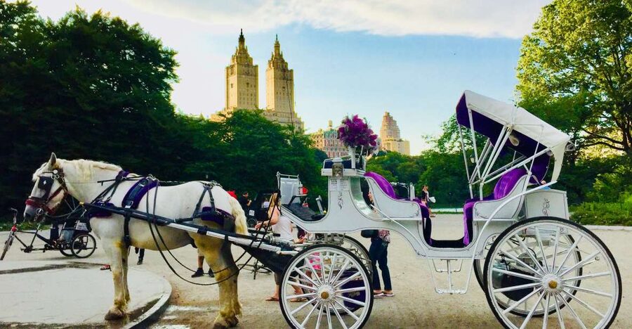 Manhattan: VIP Private Horse Carriage Ride in Central Park - Landmark by landmark: where your camera should aim