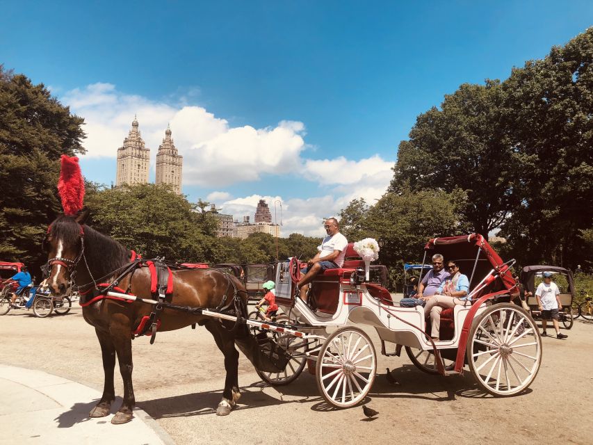 Manhattan: VIP Private Horse Carriage Ride in Central Park - VIP comfort details: roof, blankets, and getting out of the weather