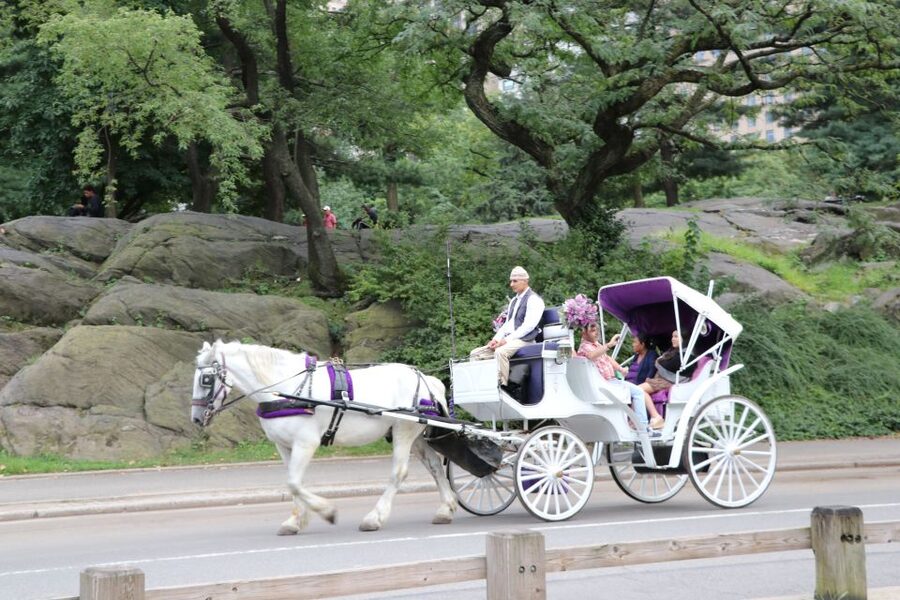 Manhattan: VIP Private Horse Carriage Ride in Central Park - The real value of $280 per group for up to four