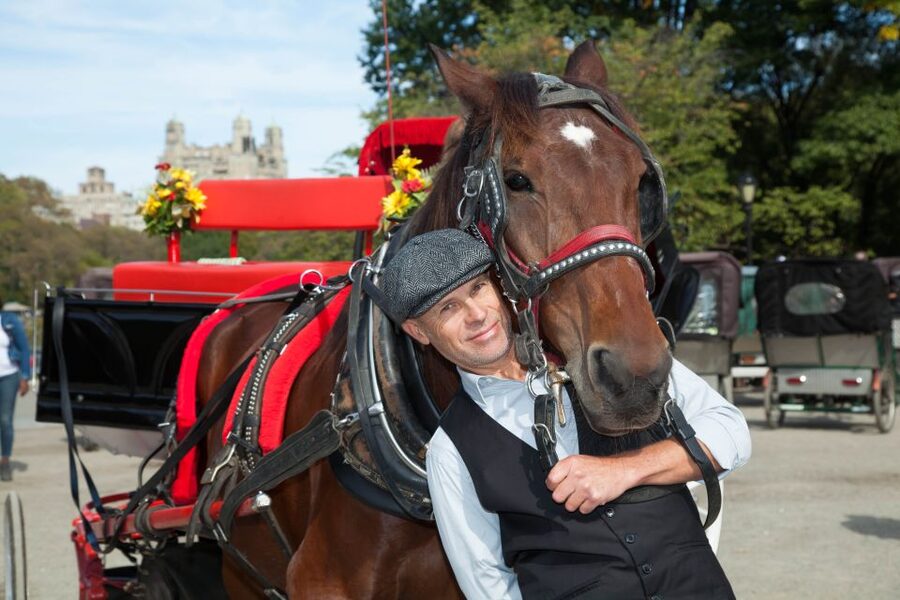 Manhattan: VIP Private Horse Carriage Ride in Central Park - Your private 1-hour loop: what you’ll pass and why it works