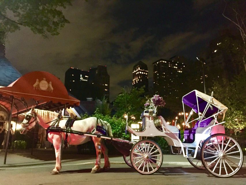 New York: Carriage Ride in Central Park - Meeting on 7th Avenue, then slipping into Central Park