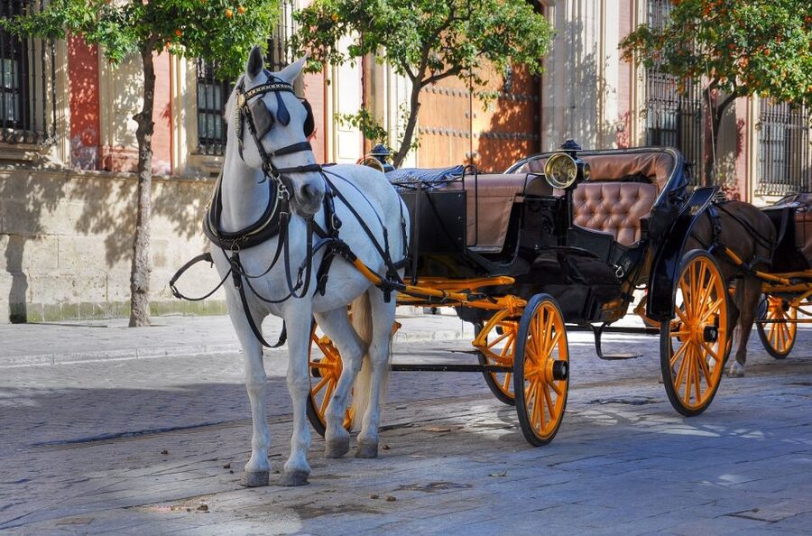 New York: Carriage Ride in Central Park - Guides and narration, from practical facts to film-location focus