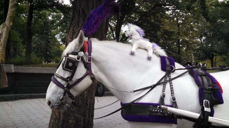 New York: Carriage Ride in Central Park - How long you really have, and how to plan your day