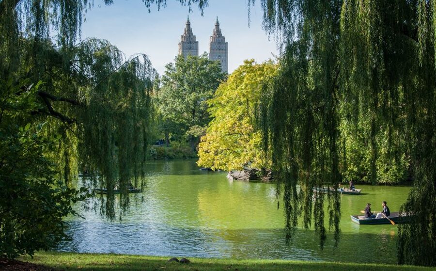 New York: Carriage Ride in Central Park - Price and value: $159 per group up to 5
